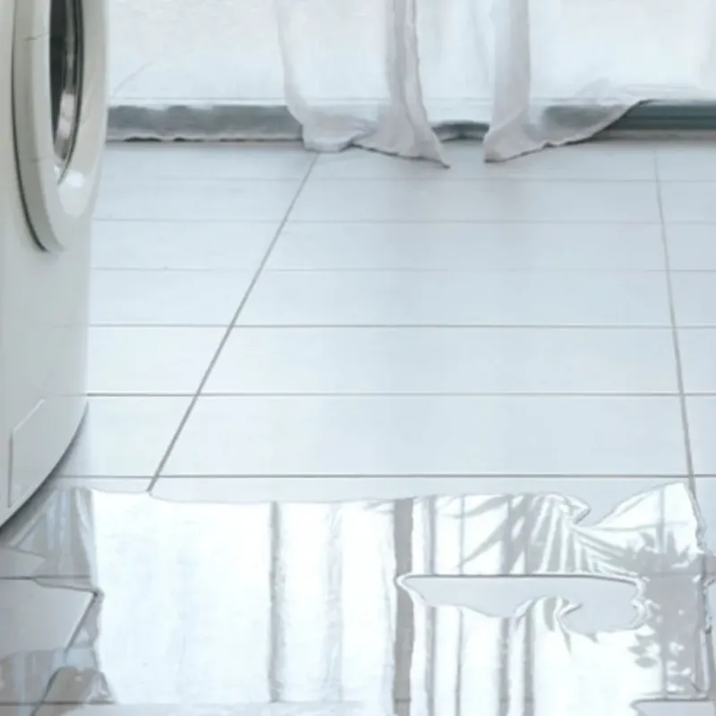 Appliance Leak Cleanup in Whitesboro, TX