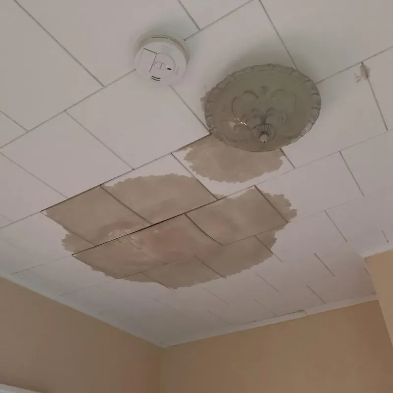 Ceiling Water Damage Repair in Whitesboro, TX