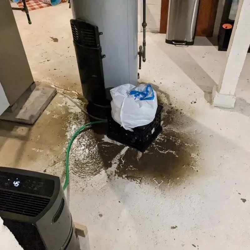 Sewage Backup Cleanup Service in Whitesboro, TX